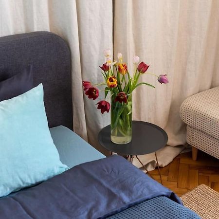 No.8: Lovely & Cosy 3-Room Heart Of The City Timisoara Exterior photo
