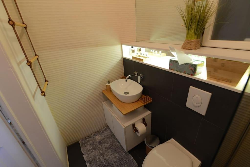 No.8: Lovely & Cosy 3-Room Heart Of The City Timisoara Exterior photo