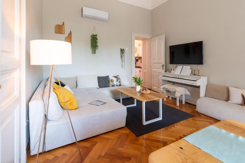 No.8: Lovely & Cosy 3-Room Heart Of The City Timisoara Exterior photo