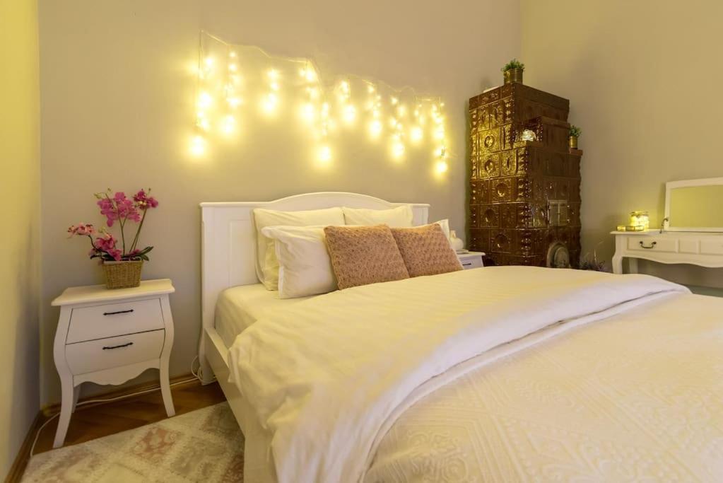 No.8: Lovely & Cosy 3-Room Heart Of The City Timisoara Exterior photo