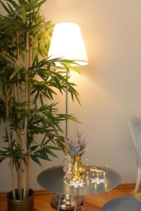 No.8: Lovely & Cosy 3-Room Heart Of The City Timisoara Exterior photo